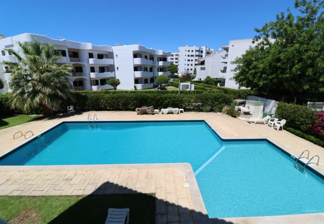 Apartamento em Vilamoura - Apartamento Oásis T2 com Piscina em Vilamoura Apartamento em Vilamoura - Apartamento Oásis T2 com Piscina em Vilamoura