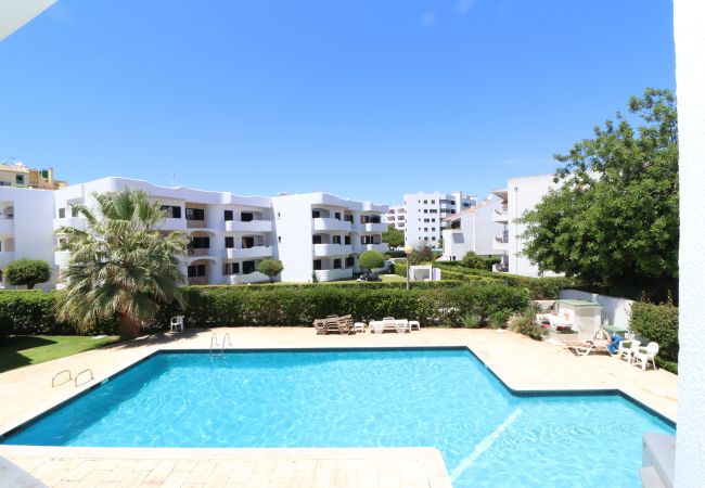 Apartamento em Vilamoura - Apartamento Oásis T2 com Piscina em Vilamoura Apartamento em Vilamoura - Apartamento Oásis T2 com Piscina em Vilamoura