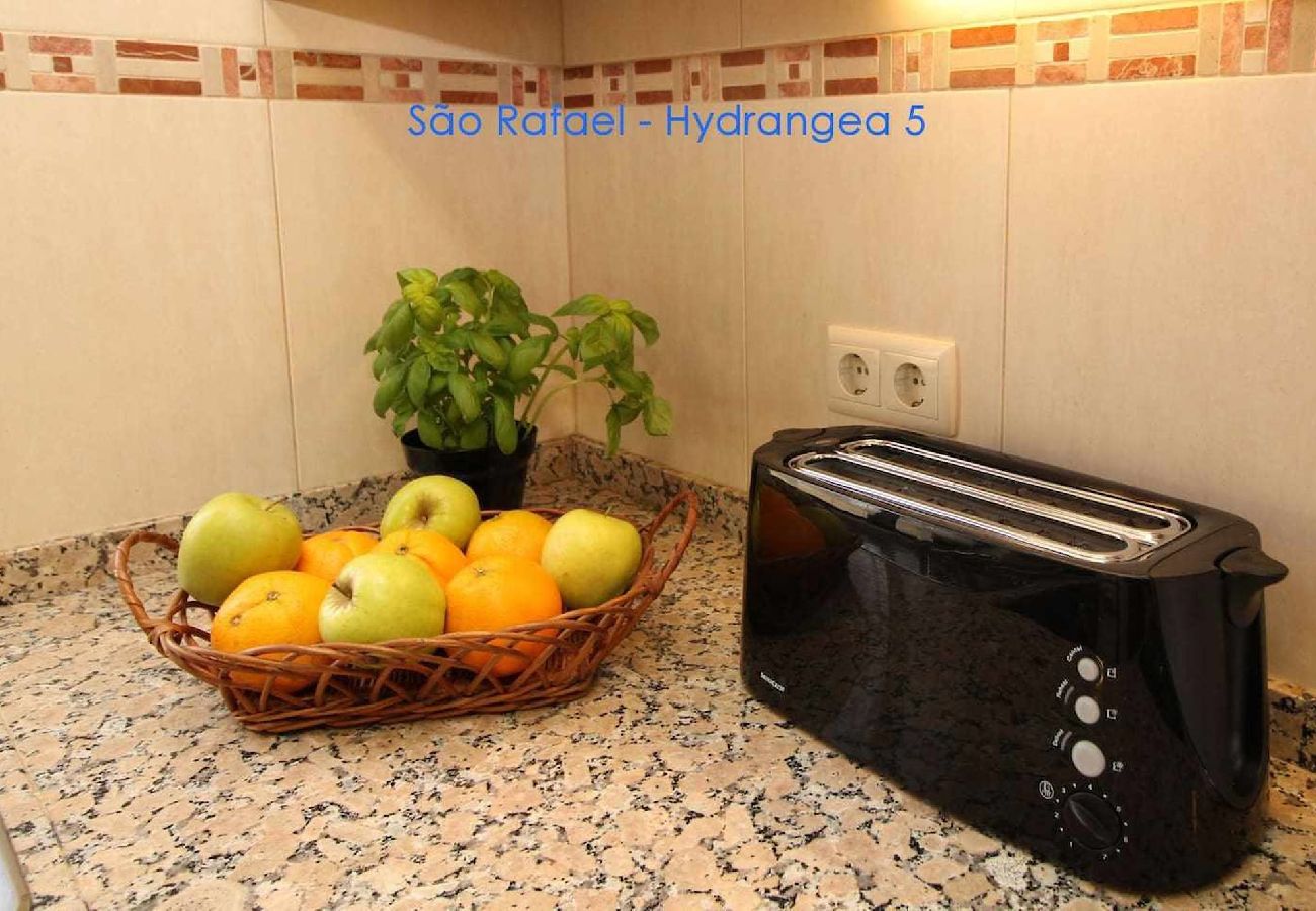 Apartment in Albufeira - 2 Bedroom Apartment with Swimming pool at São Rafael Beach - Albufeira