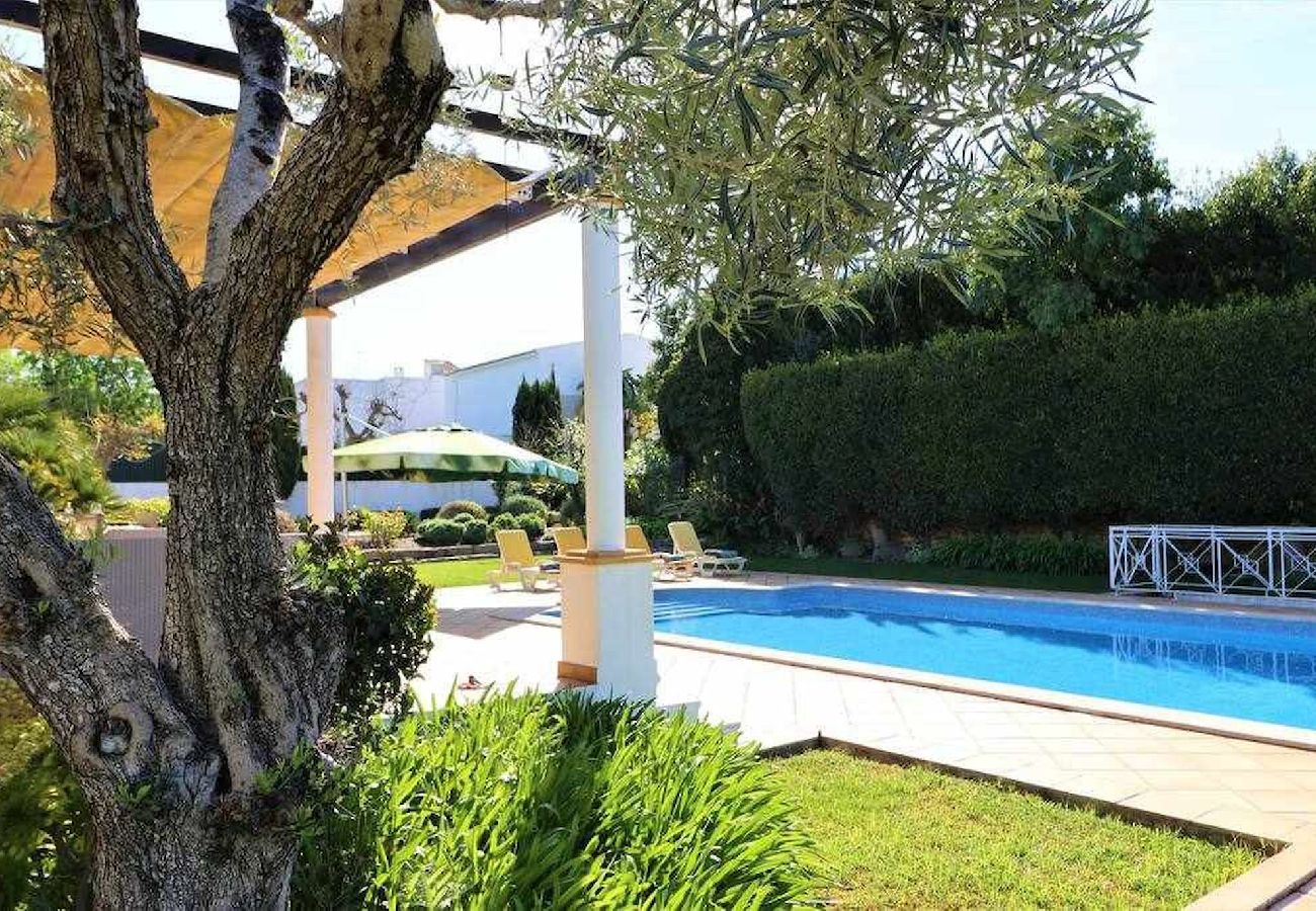 Villa in Boliqueime - Villa Joia - 3 Bedroom Villa with Swimming pool in Boliqueime - Algarve 