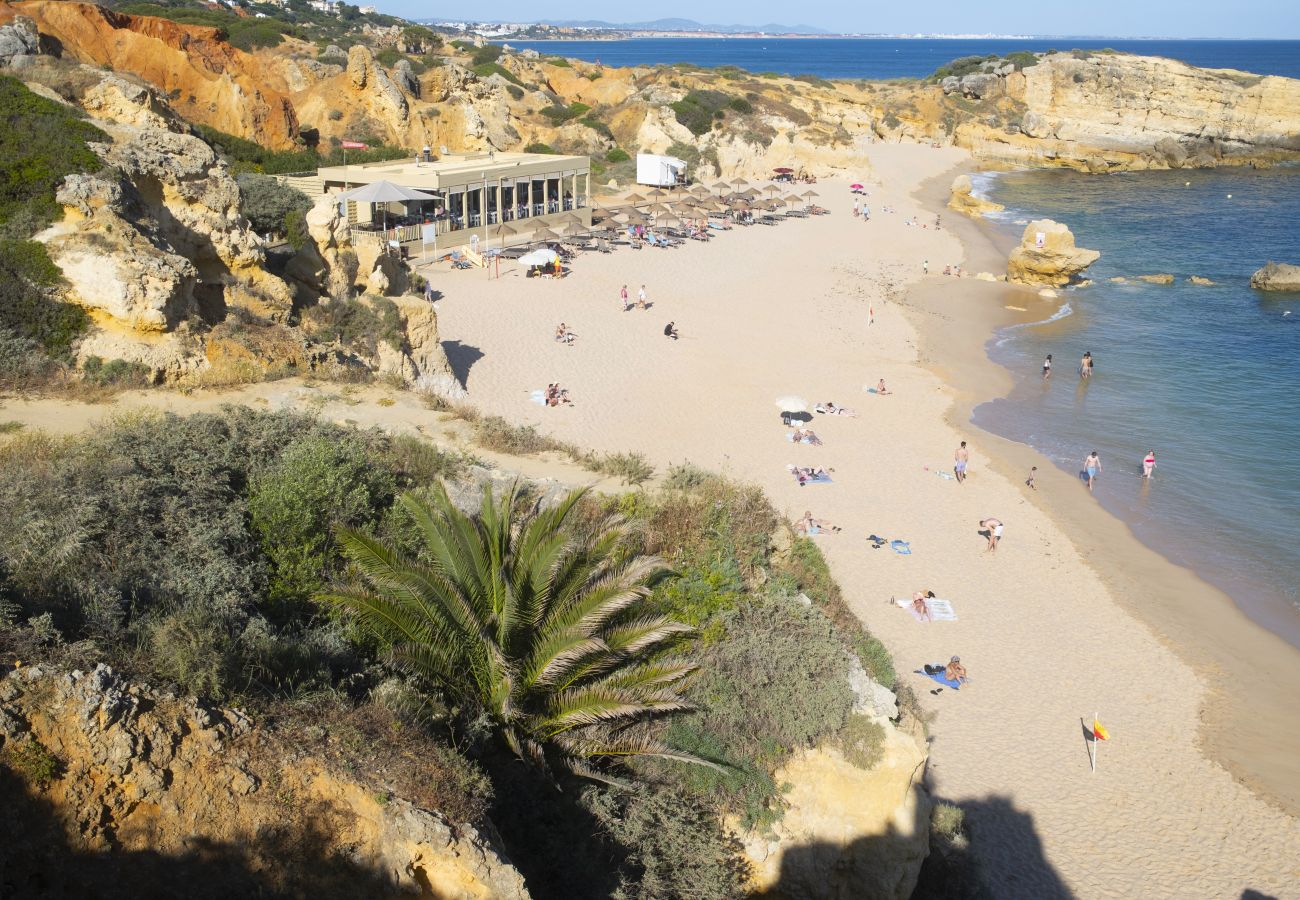 Apartment in Albufeira - 2 Bedroom Apartment with Swimming pool at São Rafael Beach - Albufeira